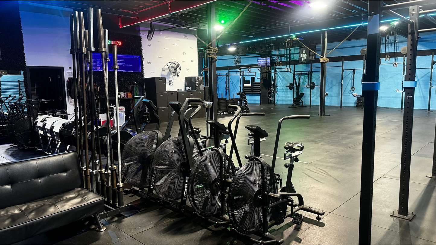 1 MONTH OPEN GYM (NO CLASSES)